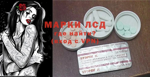 стаф Михайловск