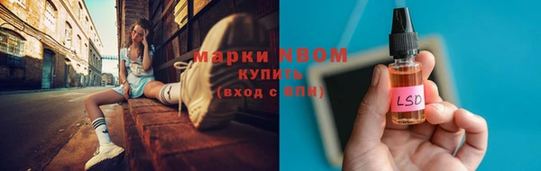 стаф Михайловск