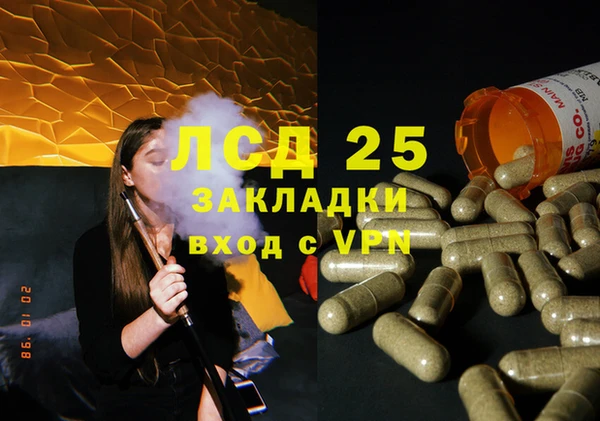 стаф Михайловск