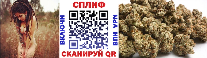 Конопля Amnesia Кировград