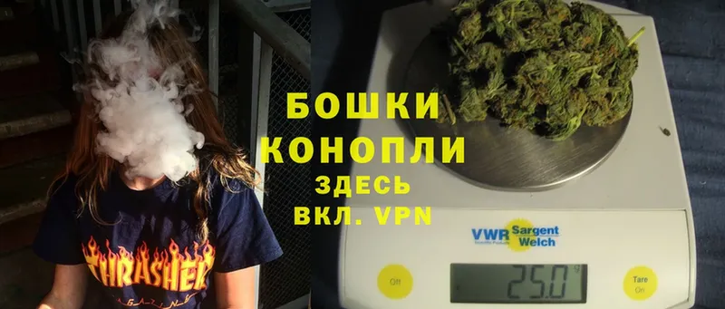 где купить наркоту  Кировград  Каннабис White Widow 